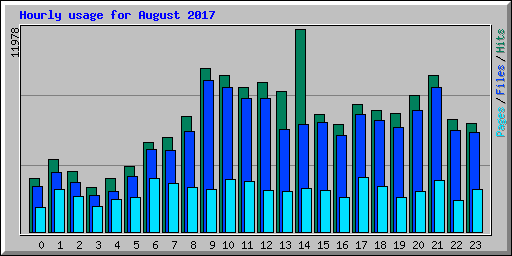 Hourly usage for August 2017